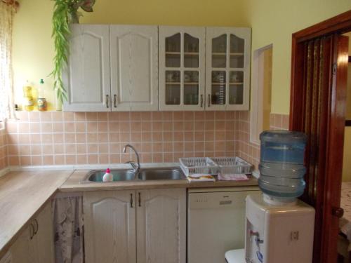 a kitchen with white cabinets and a sink at Apartment Jelaca in Herceg-Novi