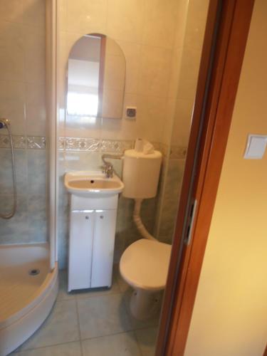 La salle de bains est pourvue de toilettes, d'un lavabo et d'une douche. dans l'établissement Apartament przy plaży, à Kuźnica