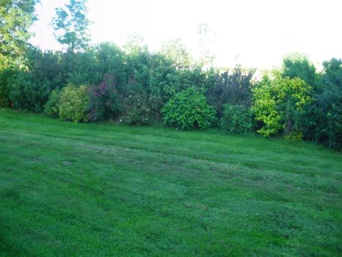 a field of grass with trees and bushes at La Vallée des Trois Monts in Saint-Sylvestre-Cappel
