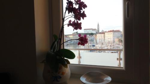 a vase with purple flowers sitting in a window at Fredi in Piran