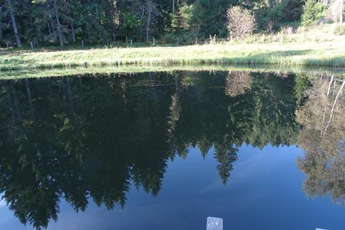 a reflection of a tree in a body of water at Chalet "Knusperhäuschen" in Murau
