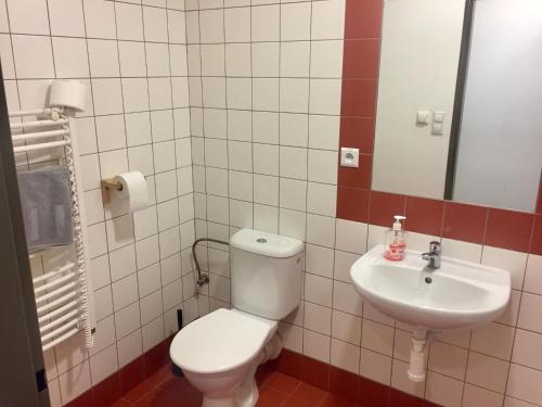 bagno con servizi igienici e lavandino di Hotel Můstek a Liberec