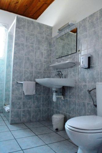 une salle de bain avec un lavabo et des toilettes dans l'établissement Auberge de Costaroche, à Albertville