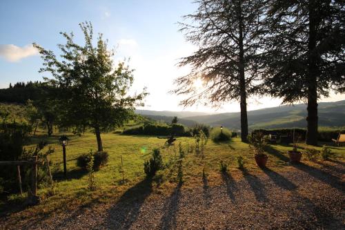 a garden with trees in a field with mountains in the background at Tenuta il Poggetto in Radda in Chianti
