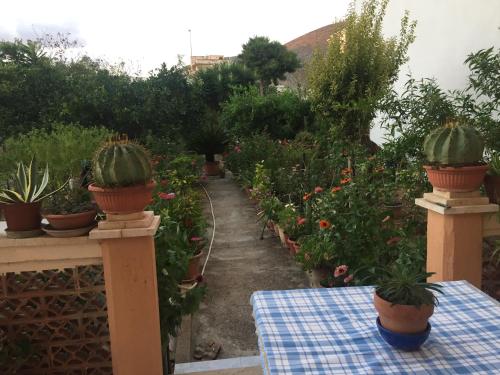 un jardin avec une table et des plantes en pot sur une clôture dans l'établissement Monolocale Rosina, à Trapani