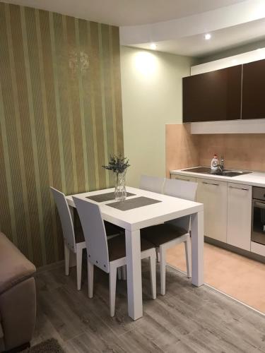 Kuchyň nebo kuchyňský kout v ubytování Apartman Sofia