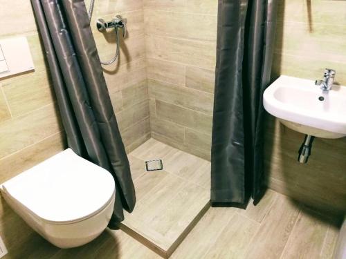 a bathroom with a toilet and a sink at Preila 2 in Preila