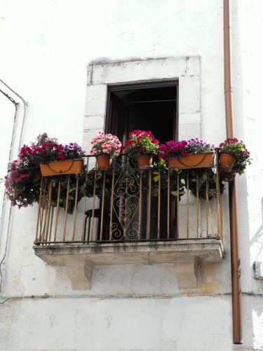 a window with flower boxes on a balcony at BeMyGuest Rutigliano in Rutigliano