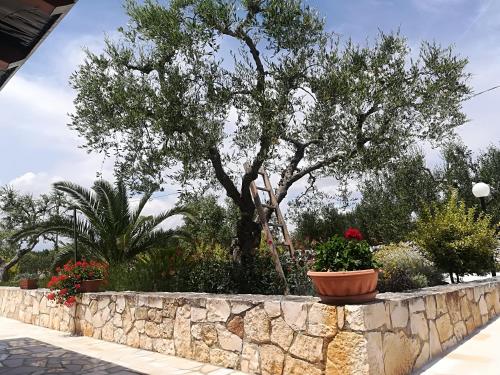 Gallery image of Il Sogno in Alberobello