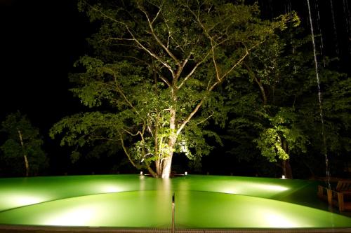 a tree on a green object at night at Las Lagunas Boutique Hotel in Flores