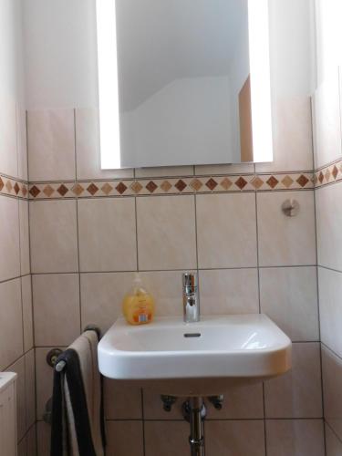 Ένα μπάνιο στο Ferienhaus Rabenhorst