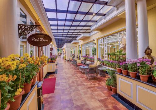 a store filled with lots of potted plants at Mayfair Darjeeling in Darjeeling
