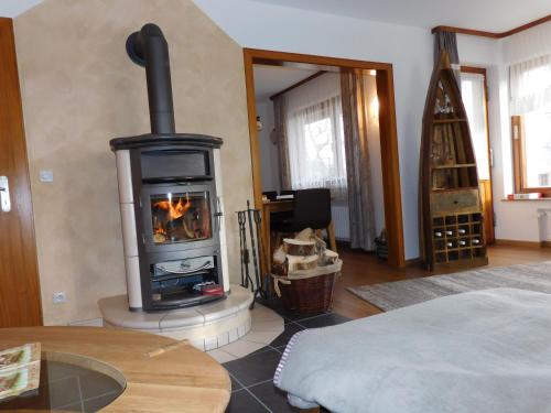 a living room with a wood stove in a room at Ferienhaus Rabenhorst in Bad Berleburg