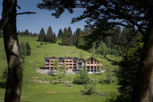 ein großes Haus auf einem Hügel auf einem Feld in der Unterkunft Black Forest Lodge in Feldberg