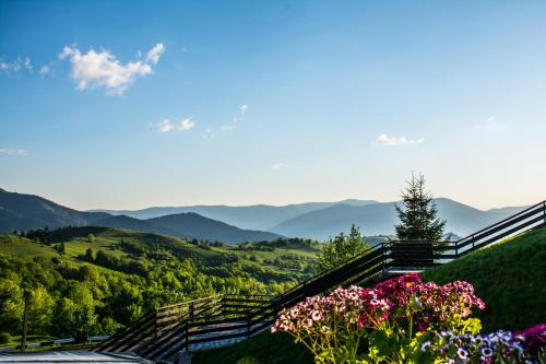 a set of stairs on a hill with flowers at Синевирський Перевал in Synevyr