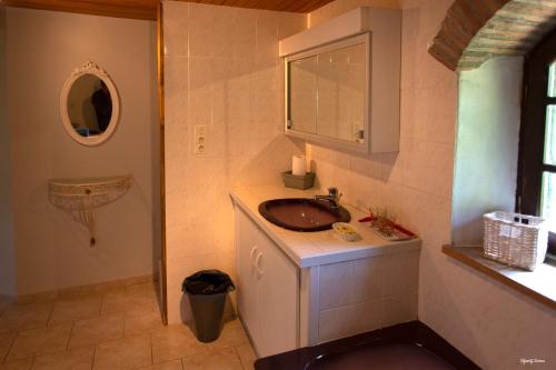 a bathroom with a sink and a mirror at Moulin de Cocussotte in Saint-Pierre-sur-Dropt