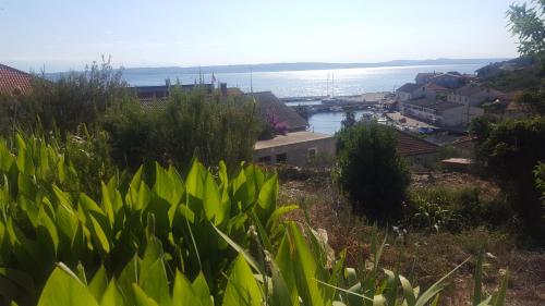 a view of the ocean from a hill with green vegetation at Apartman Batalaza in Kali