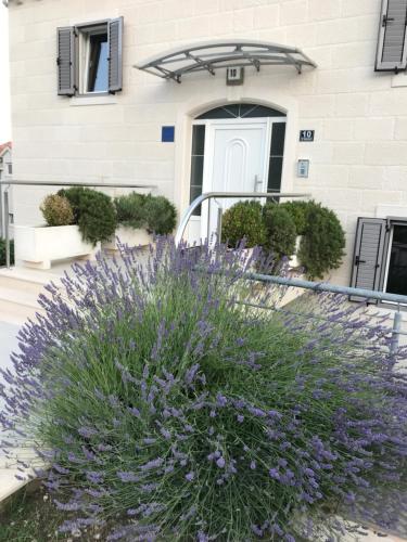 Gallery image of Apartments Lovely Croatia in Bol