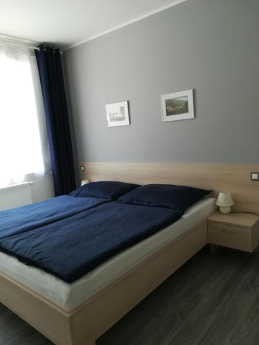 a bedroom with a bed with blue sheets and a window at Apartmán na výsluní in Luhačovice