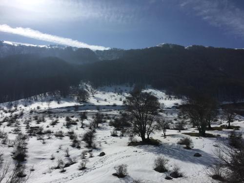 a snow covered field with trees and a mountain at Guest Art Campitello Matese in San Massimo
