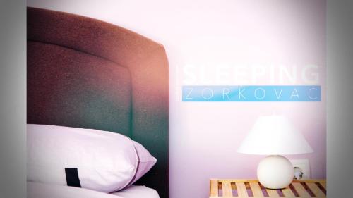 Posteľ alebo postele v izbe v ubytovaní Studio apartman Zorkovac