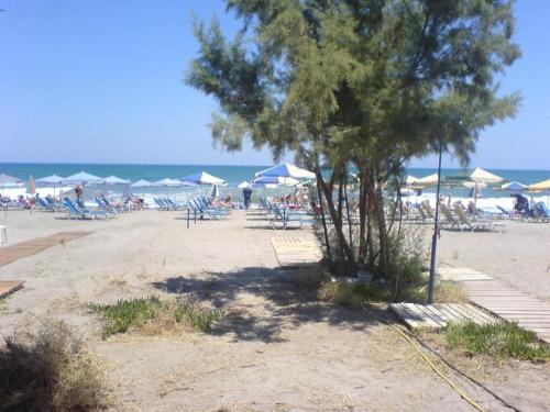 a beach with a lot of chairs and umbrellas at Leonidas Rooms in Plataniás