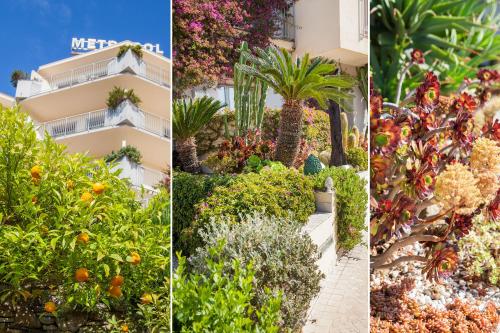 Κήπος έξω από το Hotel Metropol