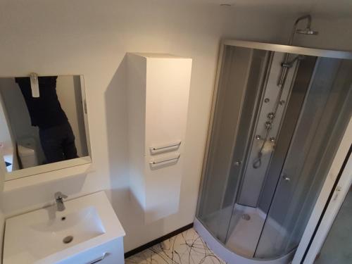 a bathroom with a shower and a sink and a mirror at Chez Jo et Anne-Marie in Balleroy