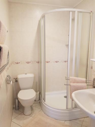 a bathroom with a shower and a toilet and a sink at Namelis Nidoje in Nida