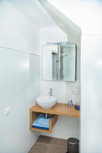 ein Badezimmer mit Waschbecken und Spiegel in der Unterkunft B&B De Eikenhorst in Elsloo
