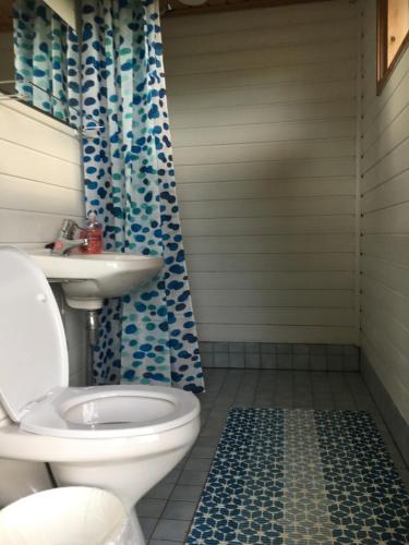 a bathroom with a toilet and a blue shower curtain at Ollila Rantamökit in Kerimäki