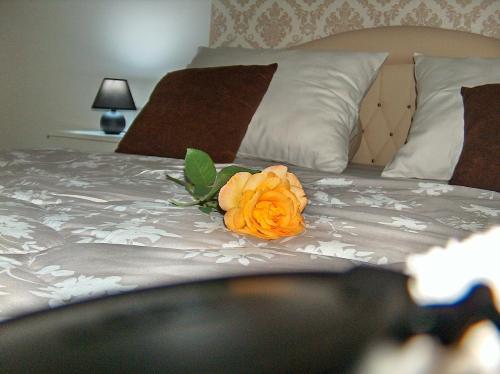 a flower is sitting on top of a bed at Happy Star in Niš