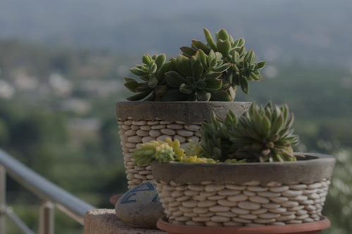 two potted plants in baskets sitting on a ledge at Aksos Suites Accessible Accommodation in Ayiá