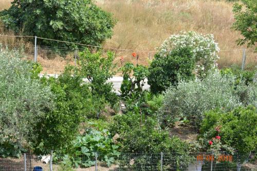 Gallery image of ELENI'S VILLAGE RELAXATION HOME in Edipsos