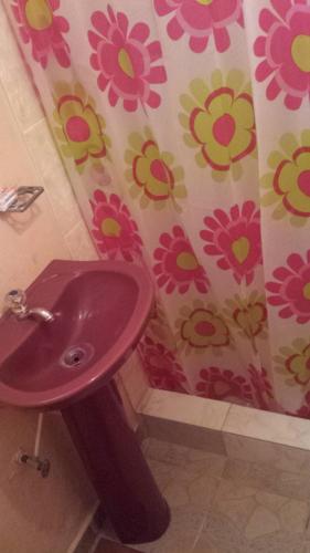 a purple sink in a bathroom with flowers on the wall at Hospedaje Rampolla's in Volcán