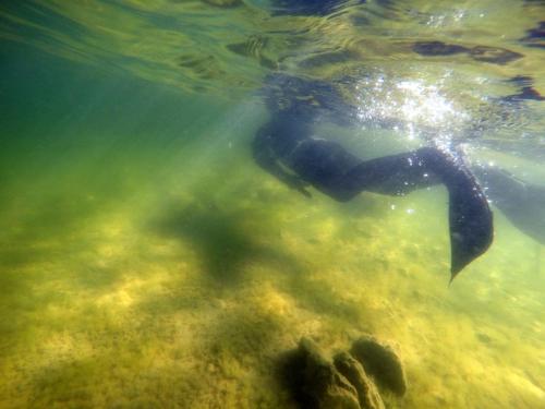 a person is swimming in the water at Divna Guest House in Dospat