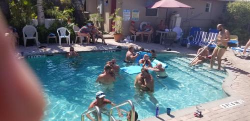a group of people in a swimming pool at INN LEATHER GUEST HOUSE-GAY MALE ONLY in Fort Lauderdale