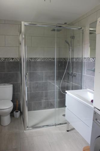 a bathroom with a shower and a toilet and a sink at gite de dominois les gardons in Dominois