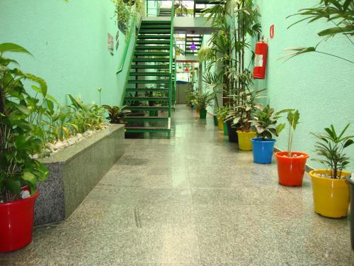 un pasillo con macetas y escaleras en un edificio en Hotel - Pousada do Arco Iris, en Osasco