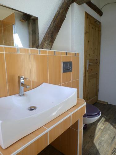 a bathroom with a white sink and a toilet at Appel-Ranch in Bockelwitz