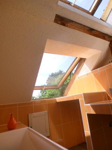 a bathroom with a large window in the ceiling at Appel-Ranch in Bockelwitz