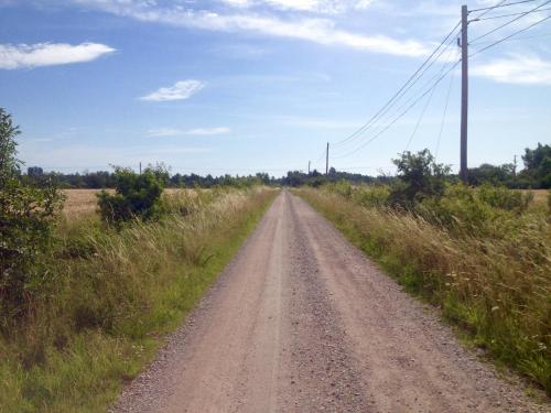 a dirt road in the middle of a field at Friesviks Gård in Borgholm