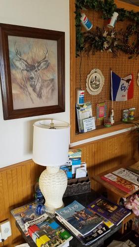 a lamp sitting on top of a table with books at Burr Oak Motel in Algona