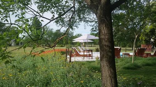 a table and chairs with an umbrella in a park at Hotel Boutique Posada Piedras Blancas in Santa Rosa