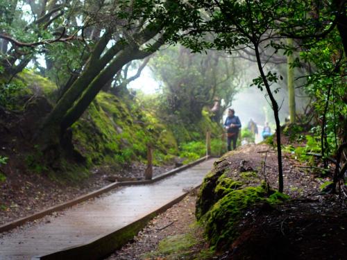 a person walking down a path in the rain at Patio Hostel in La Laguna