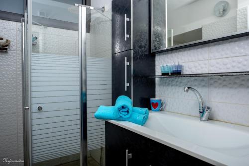 a bathroom with a sink and a glass shower at Aviv BaGalille in Sheʼar Yashuv