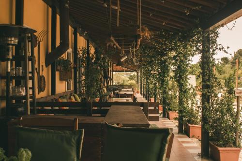 un ristorante con un lungo tavolo e alcune piante di Casale Torre San Magno a Corato