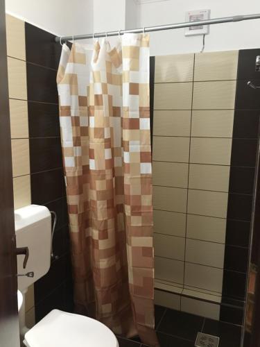 a bathroom with a toilet and a shower curtain at Casa Flamingo in Sovata