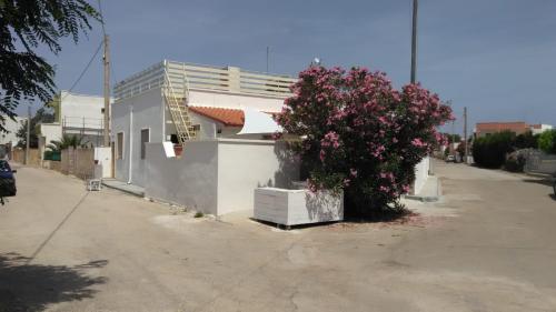 a white building with a bush with pink flowers on it at Camera Noemi in Torre Lapillo