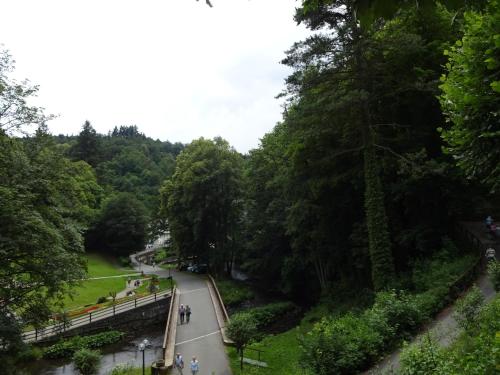 a bridge over a road in a park with trees at Ferienwohnung "Sonnenschein" in Selb